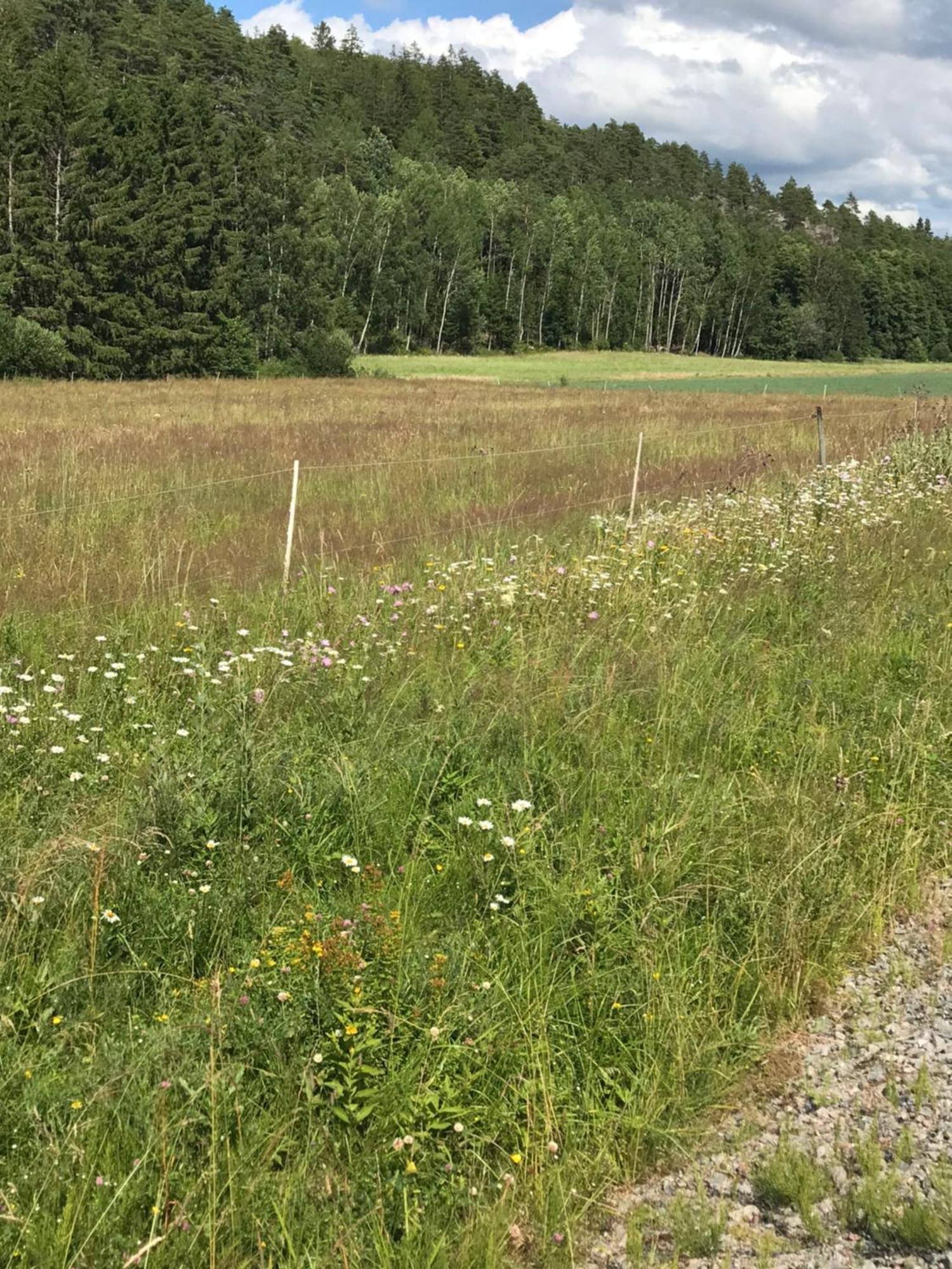 Charmigt Aeldre Hus, Laddbox 22 Kw, 5 Bil-Minuter Till Bad Strömstad Extérieur photo